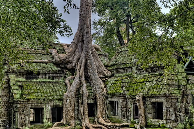 image from Angkor Wat, Cambodia