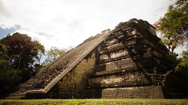 image from Maya Site of Copan