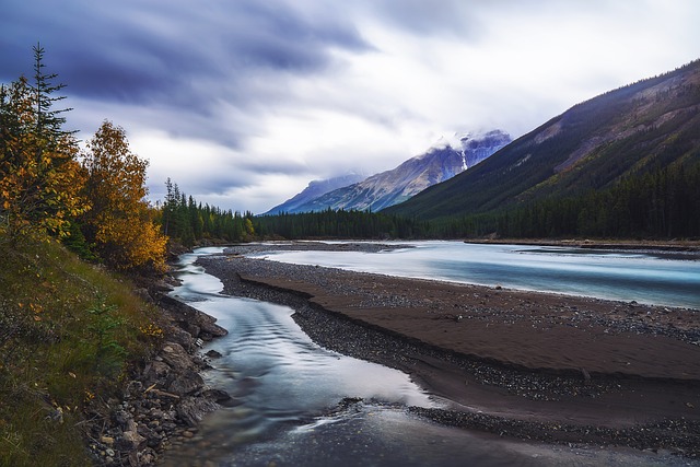 image from Ride a Dogsled Through the Backcountry Terrain of Montana