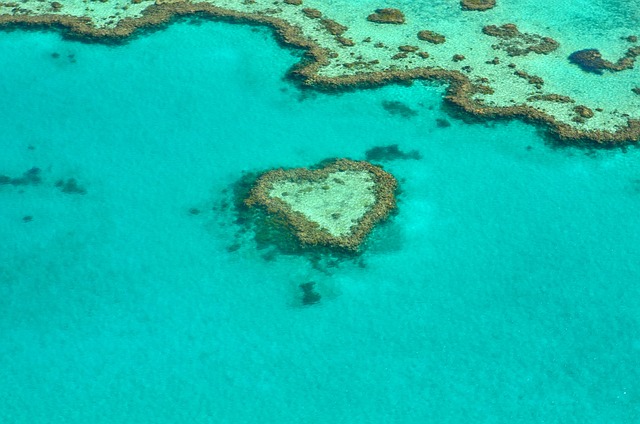 image from Whitsunday Islands National Park Qld 